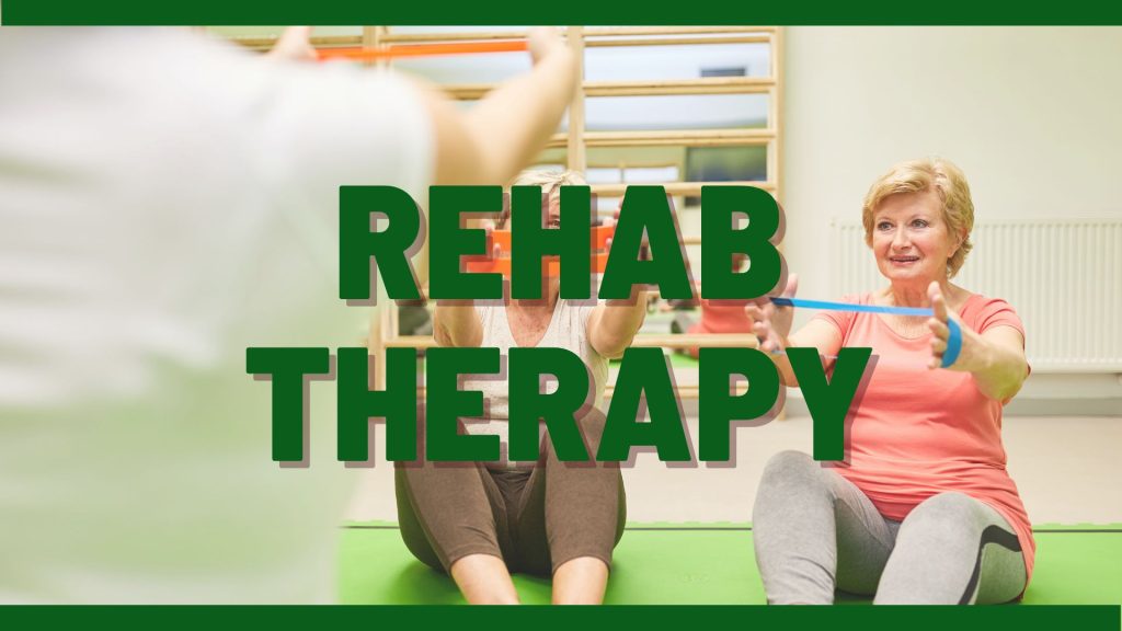 Rehab Therapy Dr Kapavik